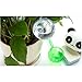 Hofumix 4Pcs Plant Watering Bulbs Aqua Globes Automatic Self Watering Globes Bulbs Garden Water Device Set Watering Bulbs for Plant Pot(Clear)