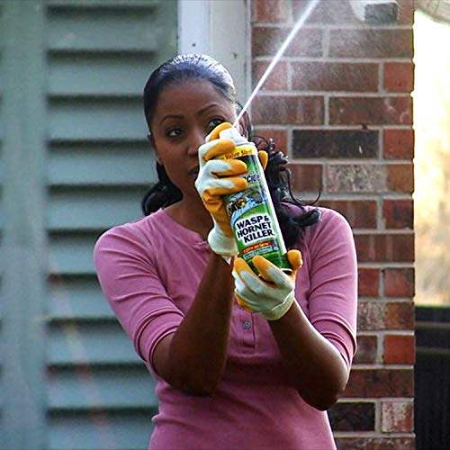 Spectracide Wasp & Killer Spray, Kills Wasps, and Yellow
