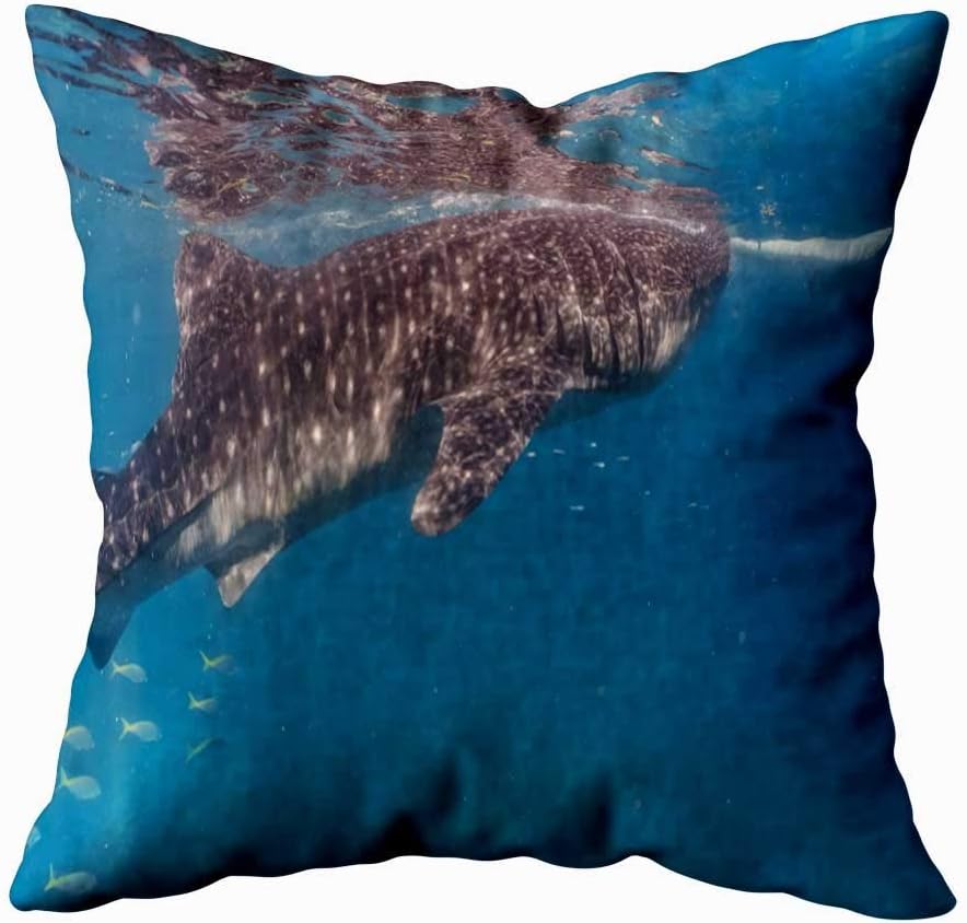 Musesh Pillow Covers,Seasonal Pillowcase Whale Shark Watching in with Closeup Cebu Fed Krill 20X20Inch for Sofa Home Decorative Pillowcase