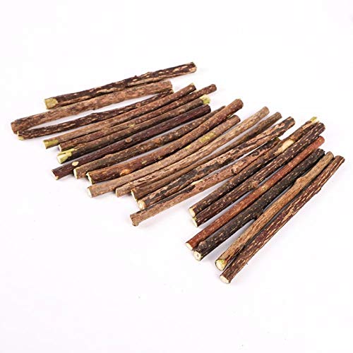 Cat Toys - 20pcs Cat Cleaning Tooth Natural Catnip Pet Molar Toothpaste Stick Actinidia Fruit Silvervine Snack - Fiddle Guy Computed Axial Tomography Dog Vomit Play Retch Diddle