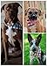Keklle Ggkidsfunpet 4 Piece Pet Dog Bandana Triangle Bibs Scarf Accessories for Dogs, Cats, Pets Animals