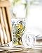 Cypress Home Dark and Stormy Double Wall Glass Travel Coffee Cup with Lid
