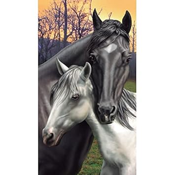 Serviette De Plage Couple De Chevaux