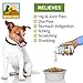 All-in-One Dog & Cat Probiotics, Hip Joint Pain Relief Formula, Vitamins, Digestive Enzymes, Antioxidants, Minerals, Glucosamine, MSM, Chondroitin, 100 Servings, 37+ Years Reputation - SIMIEN PureAll