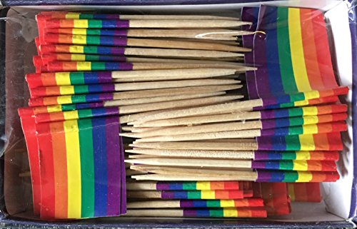 Rainbow Flag Toothpick (Box of 100 Toothpicks) Multi Cultural Events - Food Picks for Parties, Cocktails, Cupcakes - Wood Toothpick and Paper Flag - Gay Pride, LGBT