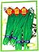 Boots Seeds Korean.2pack(4grams-each)