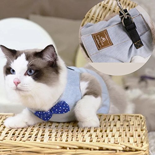 Stock Show Cat/Dog Walking Jackets Cat Harness Vest and Matc