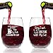 Funny Stemless Wine Glasses Set of 4 | Hilarious Gift Idea for Women, Pet Owners and Wine Lovers | 15 oz. Glass with Cute Cat Messages | Dishwasher Safe | Made in USA