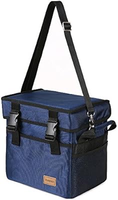 lunch bag with removable liner