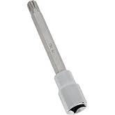 Performance Tool W83182 1/2 Drive #10 Polydrive Head Bolt Socket Bit Compatible With VW, Audi