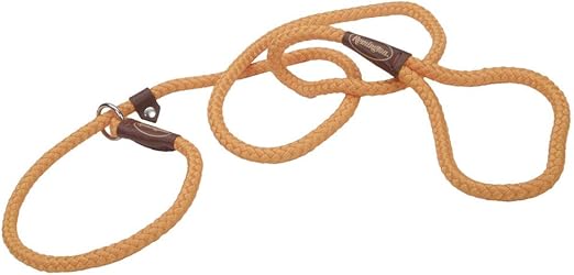 remington leash