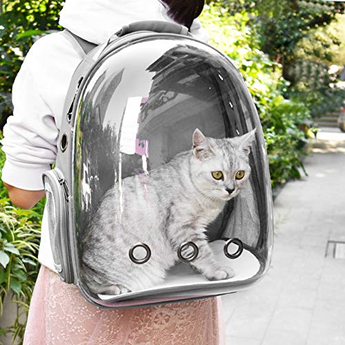 clear backpack cat carrier