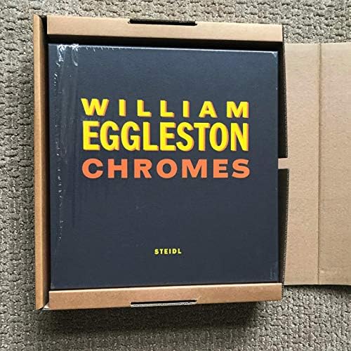 Amazon.com: William Eggleston: Los Alamos Revisited: 9783869305325