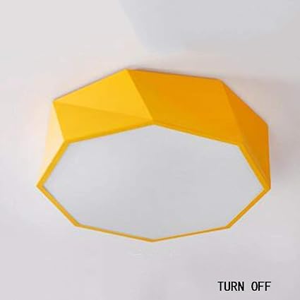 Brnebn Ceiling Lamp Home Living Room Ceiling Lamp New Garden