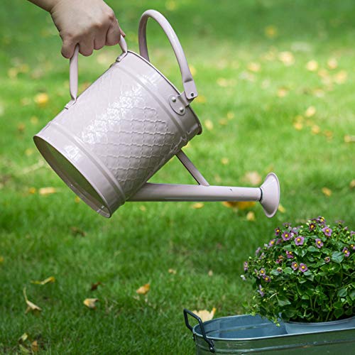 HORTICAN 1 Gal Galvanized Steel Watering Can Decorative Farmhouse Style Watering Can, Removable