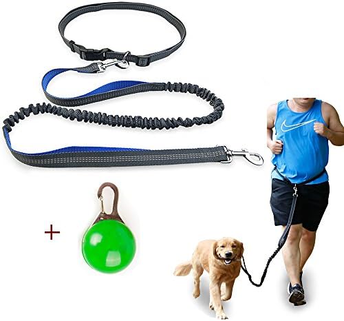 PETOU- Retractable Hands Free Dog Leash for Running, Walking, Hiking, Durable Dual-Handle Elastic Bungee Leash, Reflective Stitch, 5 - 6ft Long, Adjustable Waist Belt (Fits up to 48in waist) for -Blue