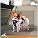 Kurgo Tru-Fit Enhanced Strength Dog Harness - Certified Crash Tested Car Safety Harness for Dogs - Metal Buckles, Padded Chest - Includes Pet Seatbelt - No Pull Training - Black, Extra Small