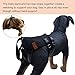LOOBANI Dog Support Harness for Back Legs, Lift Rear Mobility Aids for Aging, Injuries and Rehabilitation After Surgery (XXL)