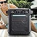 ION Audio Pathfinder | High Power All-Weather Rechargeable Speaker (Renewed)