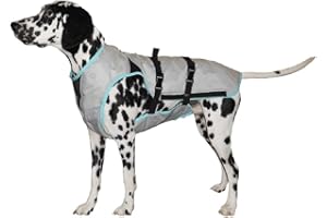 Suitical Dry Cooling Vest for Dogs | Canine Cooling Vest for Hot Weather | Dog Cool Down Jacket | Machine Washable | XS | Neck to Tail 10”- 14” | Chest 16-24” Around | Neck Circumference 14” | Silver