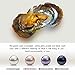 Saltwater Pearl Oyster, 4 PCS Love Wish Saltwater Akoya Pearl Oyster 6-7mm Pearl Inside for Jewelry Making or Birthday Gifts