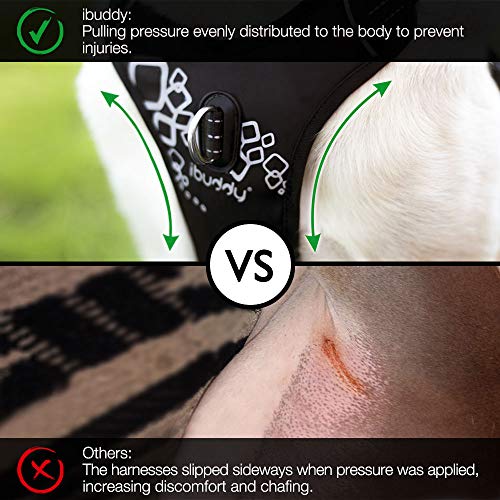 ibuddy dog harness