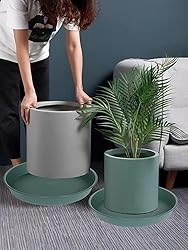 Bleuhome 6 Pack of 10 inch Plant Saucer Bird Bath