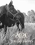 2020 Horse Life Planner: Monthly, Weekly, & Daily Schedules for Humans & Equine, Equine Behavior Snapshots, Equine Maintenance, Appointments, ... Training, & Feeding Logs, Reflections by 