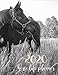 2020 Horse Life Planner: Monthly, Weekly, & Daily Schedules for Humans & Equine, Equine Behavior Snapshots, Equine Maintenance, Appointments, ... Training, & Feeding Logs, Reflections by 