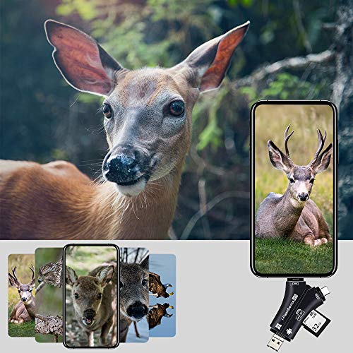 Trail Camera Viewer SD Card Reader, 4 in 1 Hunting Deer Camera Memory