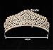 Wiipu Luxury Gold Hair Rhinestone Crystal Wedding Bridal Tiara Crown(A1060)