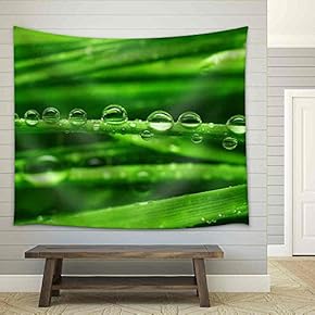Fresh Green Grass with Water Drops Close Up - Fabric Wall Tapestry Home Decor - 51x60 inches