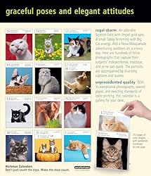 Cat Page-A-Day® Gallery Calendar 2026: A