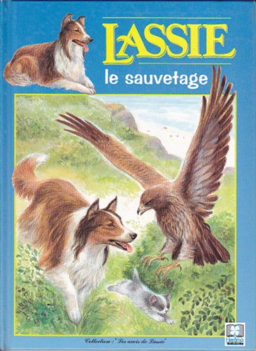 couverture de : le sauvetage
