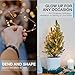 LED String Lights, Fairy Lights for Bedroom, Decorative Lights for Your Home, Hanging Lights For Room, Elegant Rope Lights Suitable for Christmas, Weddings, Parties Waterproof (33' 100 LEDs) - Vont