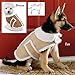 Shearling Fleece Dog Winter Coat Medium
