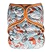 EcoAble Baby Day & Night All-In-One AIO Cloth Diaper w/ Reversible 2-in-1 Insert & Dual Pocket, Size 10-35Lb (Little Fox)