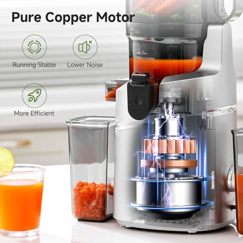 AMZCHEF Automatic Cold Press Juicer Machines 250W Liberate Your Hands -135MM Opening and 2L Capacity Slow Juicers for Whole Fruit and Vegetable