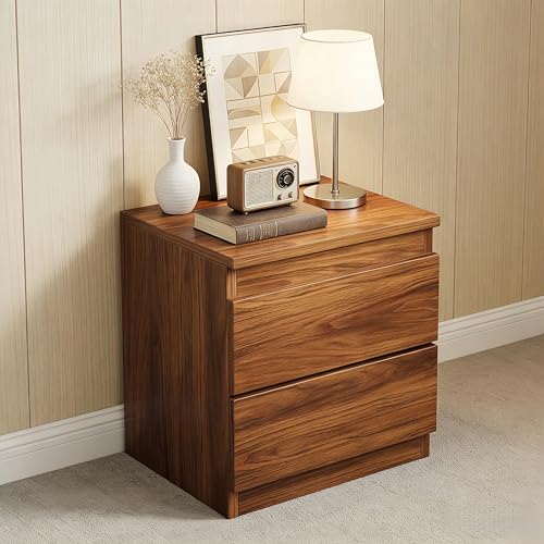 DAYONG Nightstand with 2 Drawers, Simple Bedside Table, Wooden End Table for Living Room, Modern Bedside Cabinet for Bedroom Sofa Side Office. (Dark walnut)