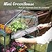 Worth Mini Greenhouse (All New) - New Metal Green Version with 3 Tier COLLAPSABLE Shelves - Best Greenhouse with ROLL UP Zipper Door Seedlings & Seed Propagation Plant Growing - 3 Year Guarantee