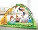 Fisher-Price Rainforest Melodies and Lights Deluxe Gym