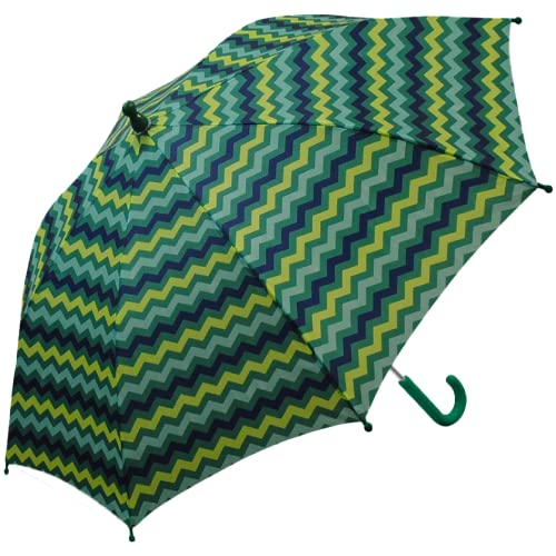 The Weather Station Children's Rain Umbrella, Manual Folding Mini Umbrella, Windproof, Lightweight, and Packable for Travel, 32 Inch Arc