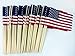 WINDSTRONG Lot of -100-4x6 Inch US American Hand Held Stick Flags No Tip Made in The USA