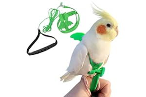 FORZENA Birds Adjustable Harness and Leash, Parrot Outdoor Flying Training Traction Rope Straps with Cute Wing for Small Animal Birds, Parrots, Pigeons, Lizard, Turtles (S,Green)