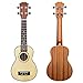 Ukulele 21 Inch Concert Ukulele with Bag Spruce Top Panel, Rosewood Fretboard 4 Strings Instrument with Nylon Strings Silver Geared Tuners