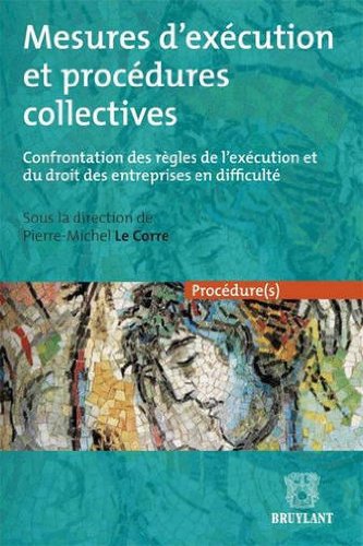 Mesures d'exécution et procédures civiles