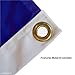 College Flags & Banners Co. Florida Gators Golf Cart and Boat Flag