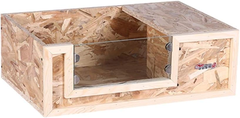 lizard tank pets at home