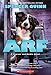Arf: A Bowser and Birdie Novel (Bowser and Birdie, 2)