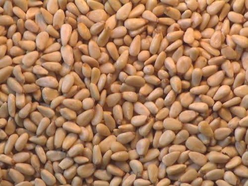 Pine Nuts 4 Ounce